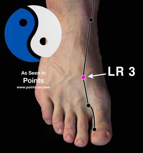 lv 3 acupuncture point location|liver 3 acupuncture point location.